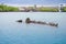 Sunken sailboat in Galapagos in a beautiful blue water