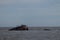 Sunken ship of Cape May protruding from the water offering refuge to shore birds