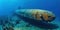 Sunken submarine wreck underwater. AI generative illustration