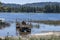 Sunken trailer and unloaded cargo in the water after the flood on the Columbia River in the recreational area of the national