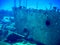 Sunken wreck of the Oro Verde