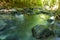 Sunlight affects the green leaves resulting in a beautiful reflection of the water