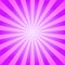 Sunlight background. Violet and pink color burst background. Fantasy Vector illustration. Magic Sun