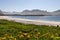 Sunlight bathes Rambergstranda beach at Jusnesvika bay in Lofoten, accentuating the contrast between the verdant meadows