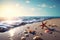 Sunlight, blue water, colorful starfish and shells on the beach summer holiday background