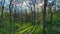 Sunlight filters through budding trees in blue mounds state park along the mounds view trail