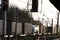 Sunlight glinting off containers on freight train on WCML