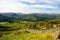 Sunlight on the green farmland