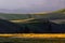 Sunlight illuminates the wheat field