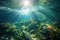 Sunlight Illuminating Coral Reef With Water Reflections, Underwater sunlight through the water surface seen from a rocky seabed