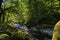 Sunlight lightens shadows along Tanner Creek in the Columbia River Gorge