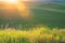 Sunlight over the farms and wheat fields