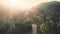 Sunlight over palms and forest on hill aerial. Road in dense jungle. Sun rays shine on foliage trees