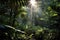 sunlight peeping through dense rainforest foliage