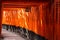 Sunlight playing across the red torii gates at Fushimi Inari