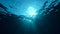 Sunlight rays shining through ocean surface,  underwater shot