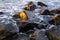 Sunlight reflecting off wet rocks in early morning.