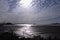 The Sunlight reflects off the wet mudflat and tidal channel during the ebb tide.