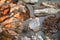 Sunlight and shadows on Ozarks 1930s giraffe rock stone masonry house close up background