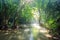 Sunlight shine in waterfall tropical rainforest