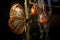 sunlight shining on newly emerged butterfly and chrysalis