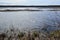 Sunlight sparkling on water surface along lakeshore at Tiny Marsh