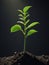 Sunlight Spotlight : macro photography of the triumph of seedlings, sprout sprouting in the ground, AI generation