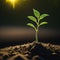 Sunlight Spotlight : macro photography of the triumph of seedlings, sprout sprouting in the ground, AI generation