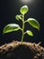 Sunlight Spotlight : macro photography of the triumph of seedlings, sprout sprouting in the ground, AI generation