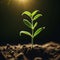 Sunlight Spotlight : macro photography of the triumph of seedlings, sprout sprouting in the ground, AI generation