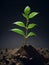 Sunlight Spotlight : macro photography of the triumph of seedlings, sprout sprouting in the ground, AI generation