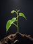 Sunlight Spotlight : macro photography of the triumph of seedlings, sprout sprouting in the ground, AI generation