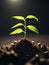 Sunlight Spotlight : macro photography of the triumph of seedlings, sprout sprouting in the ground, AI generation