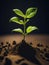 Sunlight Spotlight : macro photography of the triumph of seedlings, sprout sprouting in the ground, AI generation