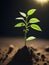 Sunlight Spotlight : macro photography of the triumph of seedlings, sprout sprouting in the ground, AI generation