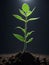 Sunlight Spotlight : macro photography of the triumph of seedlings, sprout sprouting in the ground, AI generation