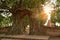 Sunlight spreading on ruin door cover by Bodhi tree at Phra Nakhom ancient Buddhist temple Thailand