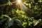 sunlight streaming through coffee plantation leaves