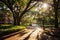 Sunlight streaming through old oak trees in a park in Florida. Beautiful savannah landscape view on a sunny day, AI