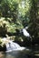 Sunlight streaming through the trees onto Onomea Falls flowing down a rocky hillside in a rainforest in Papaikou, Hawaii