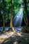 Sunlight streams through trees and a round spider web at Erawan national park with waterfalls in the background