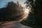 Sunlight through tropical rainforest on winding road in national park