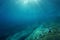 Sunlight underwater Mediterranean sea rocky seabed