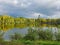 Sunlight on University Lake Landscape Anchorage Alaska