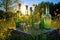 sunlit absinthe bottles and glasses on a wildflower meadow