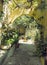 Sunlit alleyway in rhodes town with yellow stone arches between walls and flowers growing in pot plants