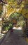 Sunlit alleyway in rhodes town with yellow stone arches between walls and flowers growing in pot plants