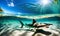 Sunlit Beach with Underwater Shark
