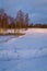 Sunlit birch grove and forest in the distance