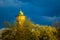 Sunlit blooming trees and watertower on dark blue sky background